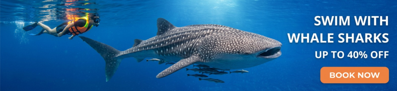 Slider - Kalido Travel