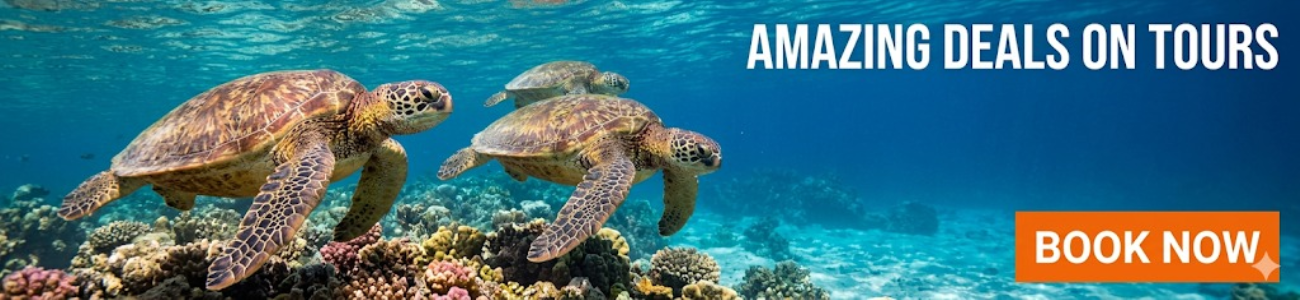 Slider - Kalido Travel