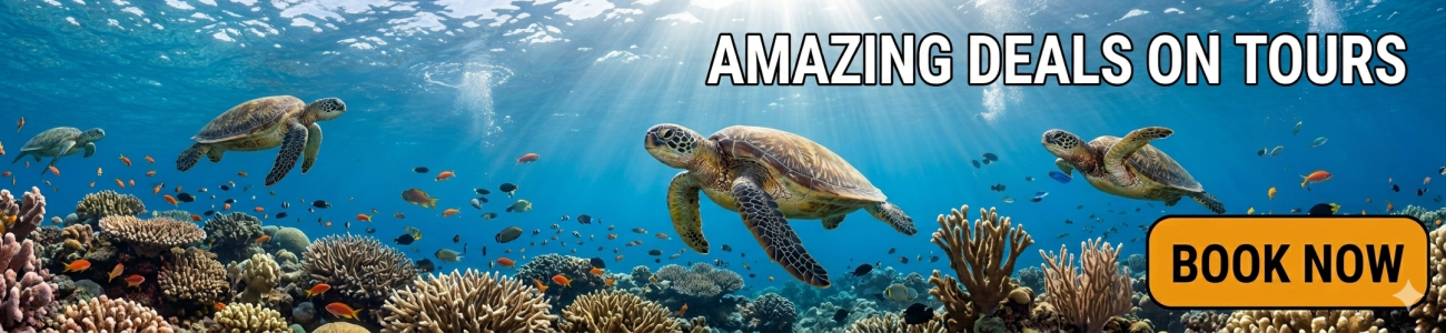 Slider - Kalido Travel