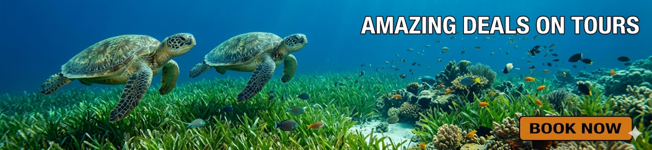 Slider - Kalido Travel