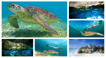 tulum and turtles and cenote discovery